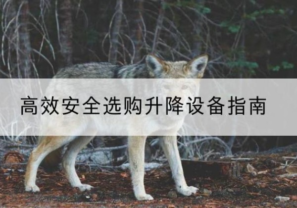 北林升降货梯厂家推荐-*安全选购升降设备指南