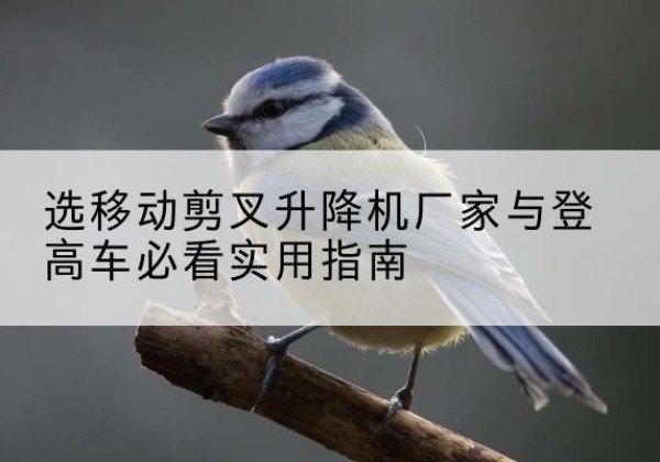 北林电动升降机厂家-选移动剪叉升降机厂家与登高车必看实用指南