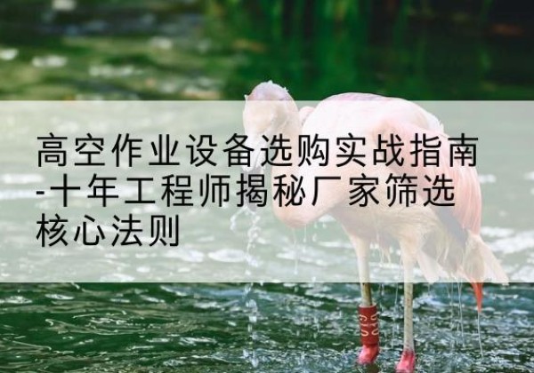 北林剪叉式升降机厂家-高空作业设备选购实战指南-十年工程师揭秘厂家筛选核心法则